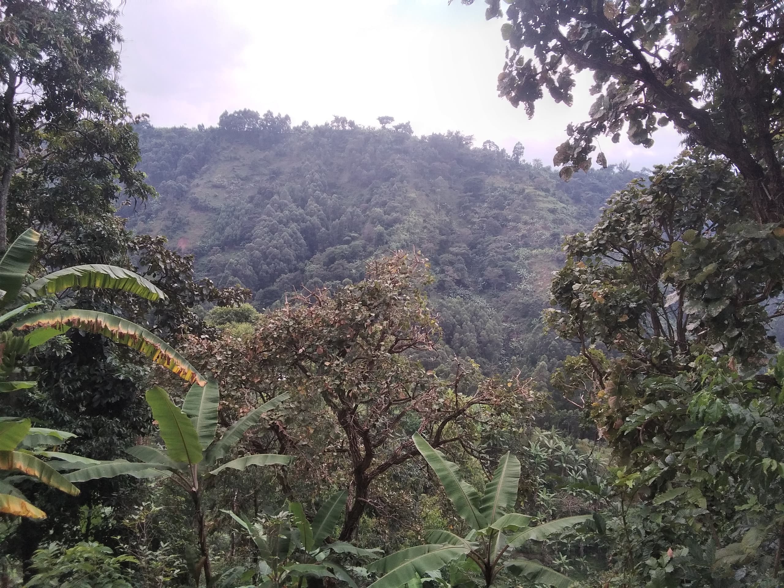 FSE community photo 241