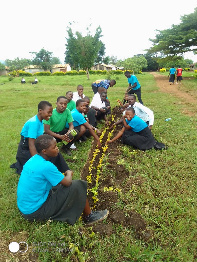 FSE community photo 34