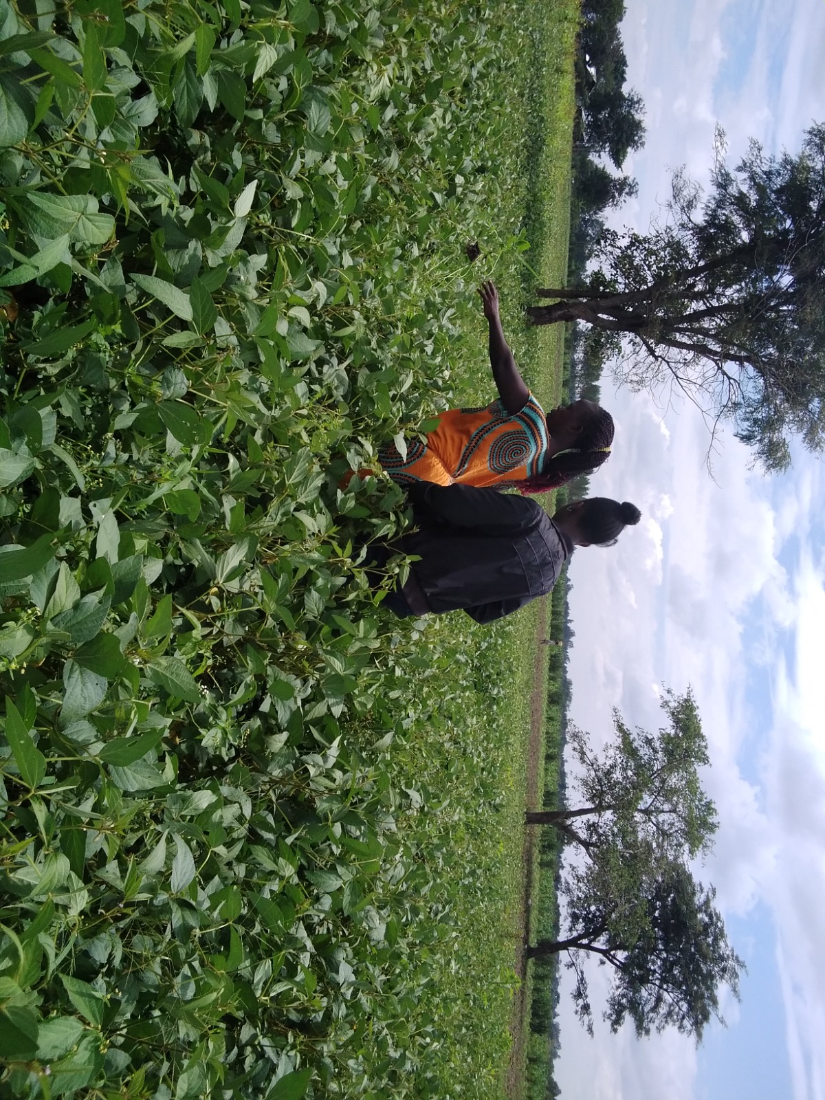 FSE community photo 69