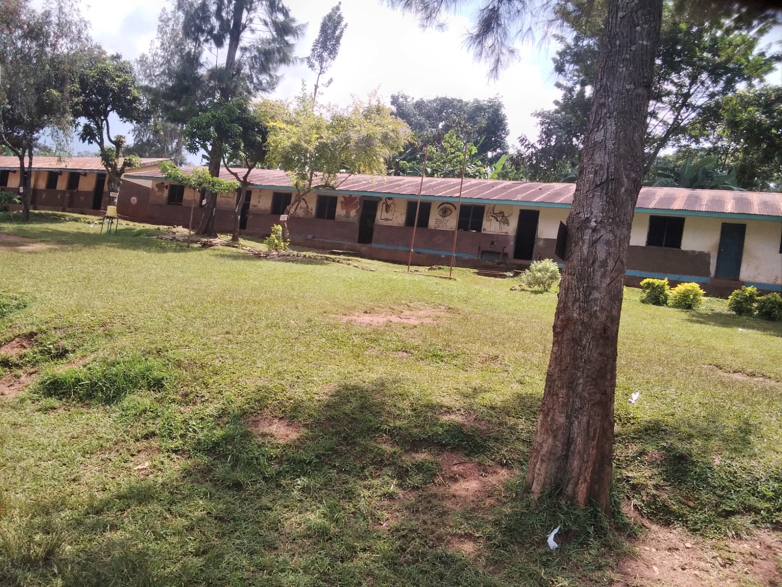 FSE community photo 75