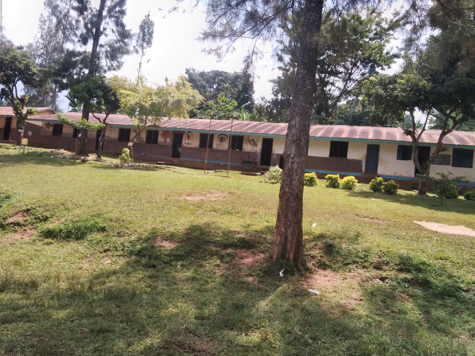 FSE community photo 78