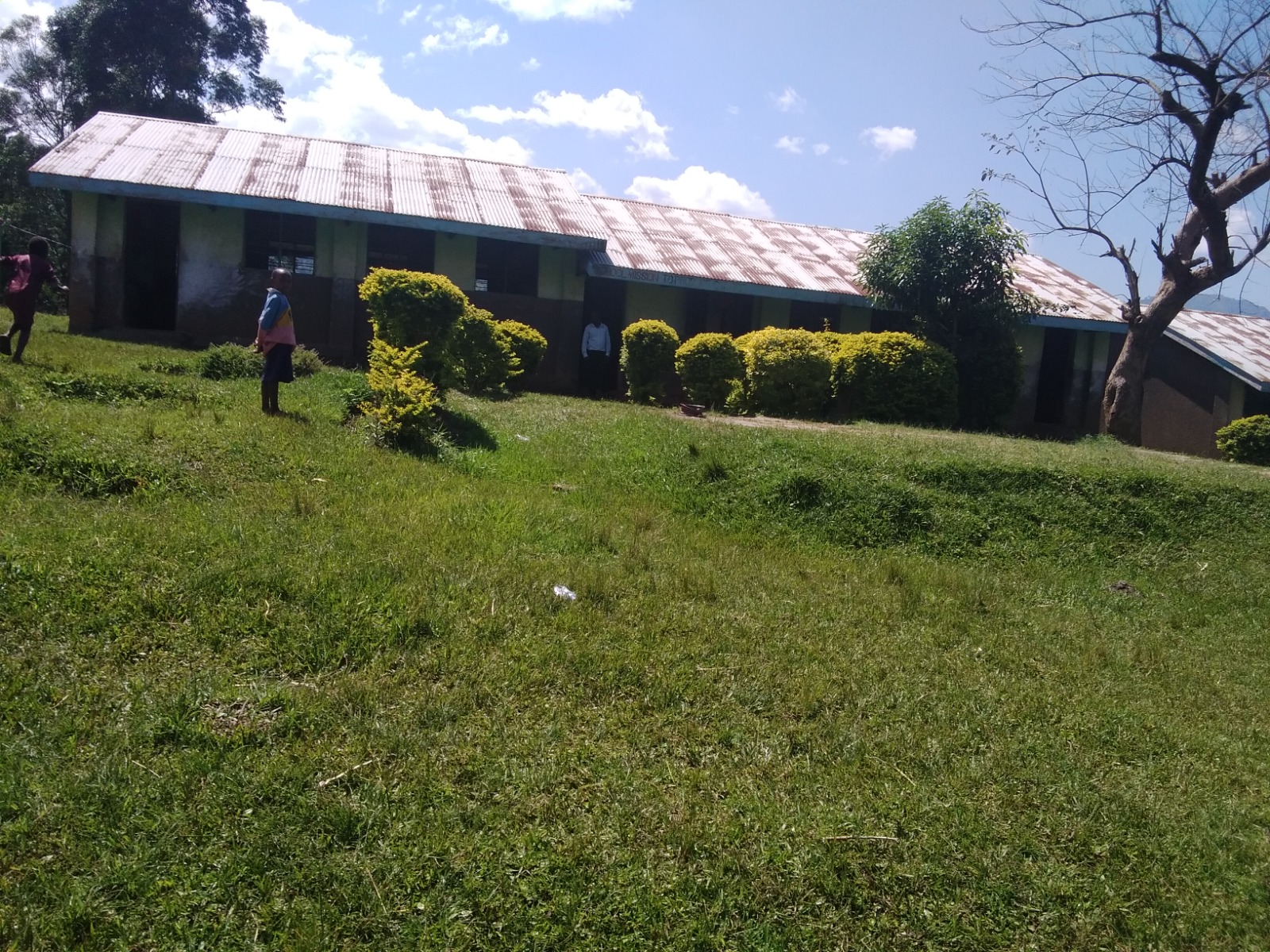 FSE community photo 84