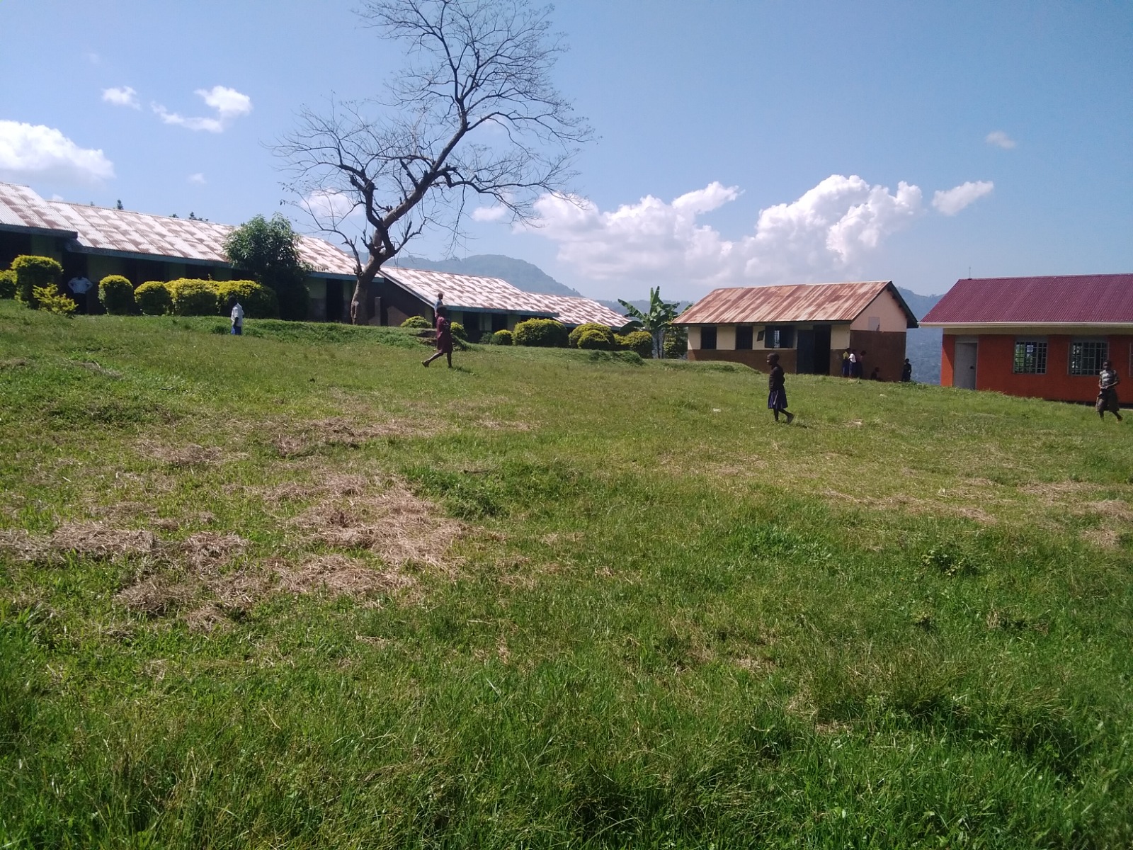FSE community photo 87
